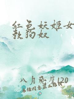 红色妖姬女王调教狗奴