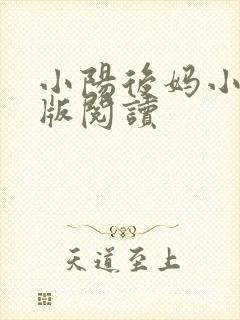 小阳后妈小说正版阅读