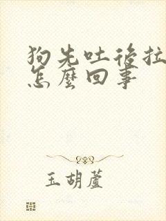 狗先吐后拉稀是怎么回事