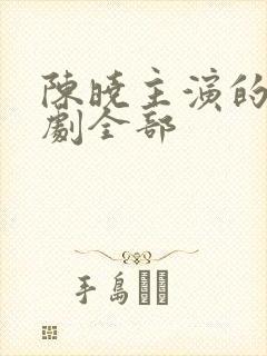 陈晓主演的电视剧全部