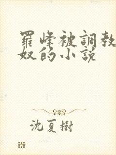 罗峰被调教成肉奴的小说