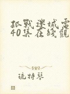 孤战迷城电视剧40集在线观看免费高清