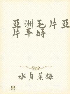 亚洲毛片亚洲毛片平时