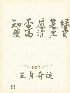 知否应是绿肥红瘦高清免费完整版