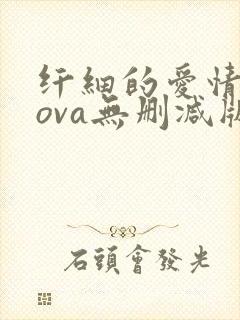 纤细的爱情动漫ova无删减版hd