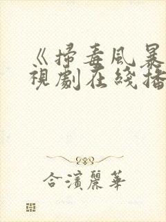 《扫毒风暴》电视剧在线播放