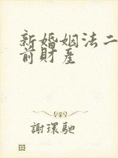新婚姻法二婚婚前财产