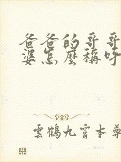 爸爸的哥哥的老婆怎么称呼?