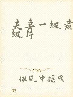 夫妻一级黄色一级片