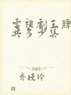 电视剧王牌部队共多少集