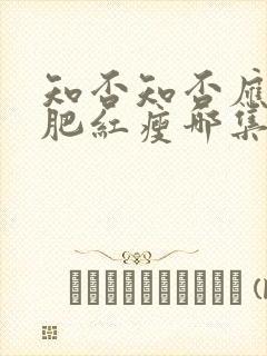 知否知否应是绿肥红瘦哪集好看