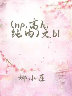 (np,高h,纯肉)文bl