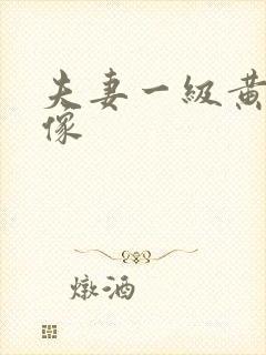 夫妻一级黄色录像