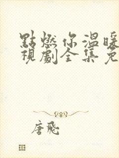 点燃你温暖我电视剧全集免费观看