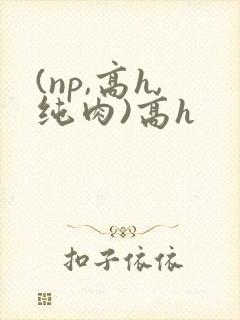 (np,高h,纯肉)高h