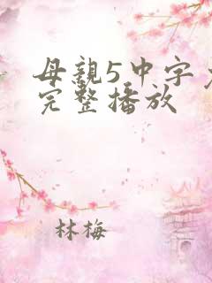 母亲5中字免费完整播放