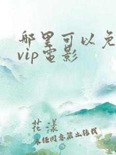 哪里可以免费看vip电影