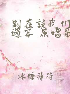 别在说我们都是过客 原唱歌词