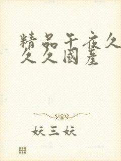 精品午夜久久久久久国产