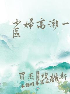 少妇高潮一区二区