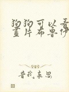 狗狗可以看的动画片布鲁伊