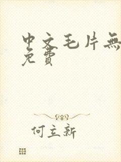 中文毛片无遮挡免费