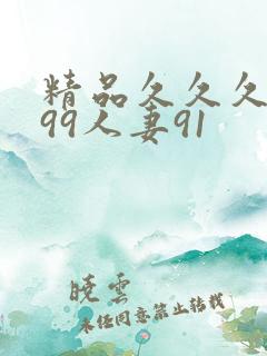 精品久久久久久99人妻91