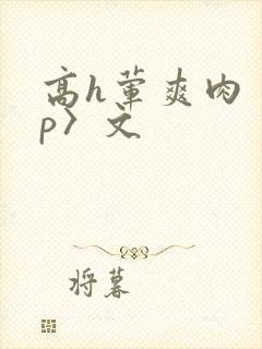 高h荤爽肉〈np〉文