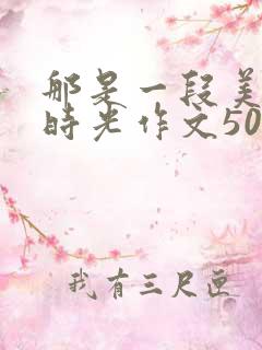 那是一段美好的时光作文500字