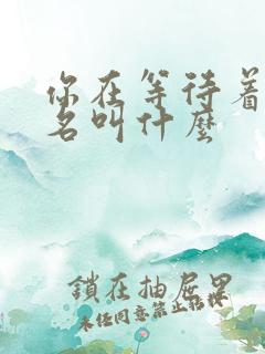 你在等待着谁歌名叫什么