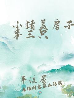 小猪盖房子的故事三只