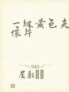 一级黄色夫妻录像片