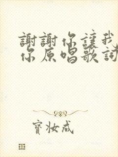 谢谢你让我遇见你原唱歌词