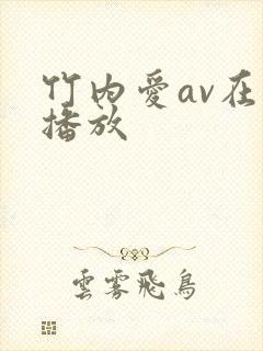 竹内爱av在线播放