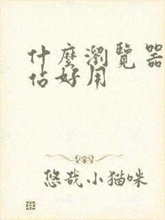 什么浏览器看网站好用