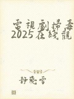 电视剧扫毒风暴2025在线观看免费