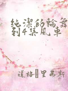 纯洁的轮舞曲1到4集风车