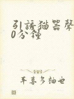 引诱猫器声音30分钟