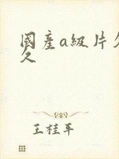 国产a级片久久久