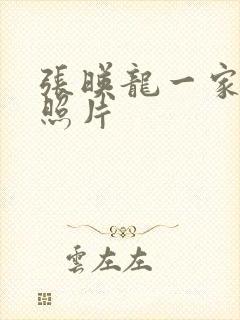 张映龙一家三口照片