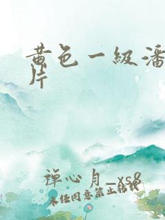 黄色一级潘金莲片