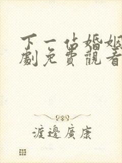 下一站婚姻电视剧免费观看全集完整版