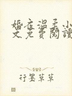 婚夜温柔小说全文免费阅读txt