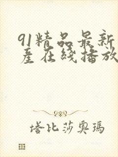 91精品最新国产在线播放