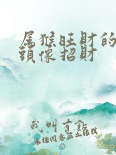 属猴旺财的微信头像招财