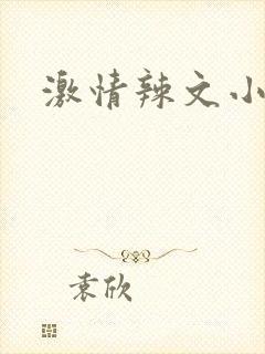 激情辣文小说