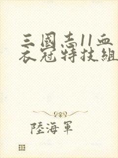 三国志11血色衣冠特技组合