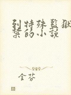 到特殊监狱被囚禁的小说