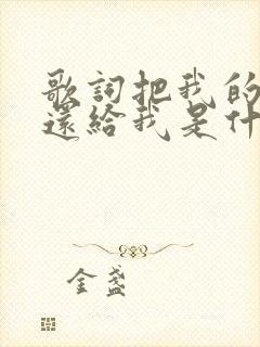 歌词把我的爱情还给我是什么歌