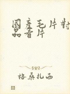 国产毛片对白精品看片